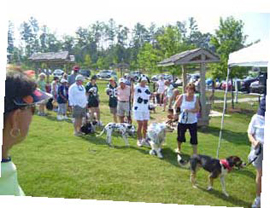 A crowd, Fort Mill, SC